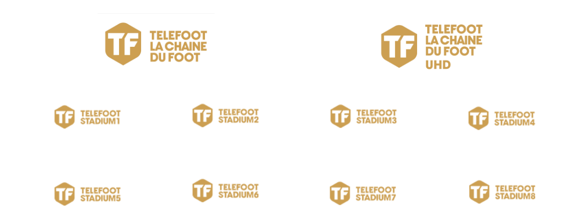 Telefoot Chaine Box Sfr